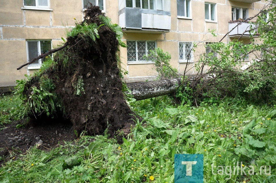 Вырванная с корнем береза. Ул. Газетная. 13

После заседания комиссии по предупреждению и ликвидации ЧС, Глава города провел встречу с директорами промышленных предприятий и представителями компаний-провайдеров, и поставил задачу восстановить работу сетей до завтрашнего дня, так как 5 июня в городе пройдет единый государственный экзамен.

Следующее заседание состоится 4 июня в 17.00
