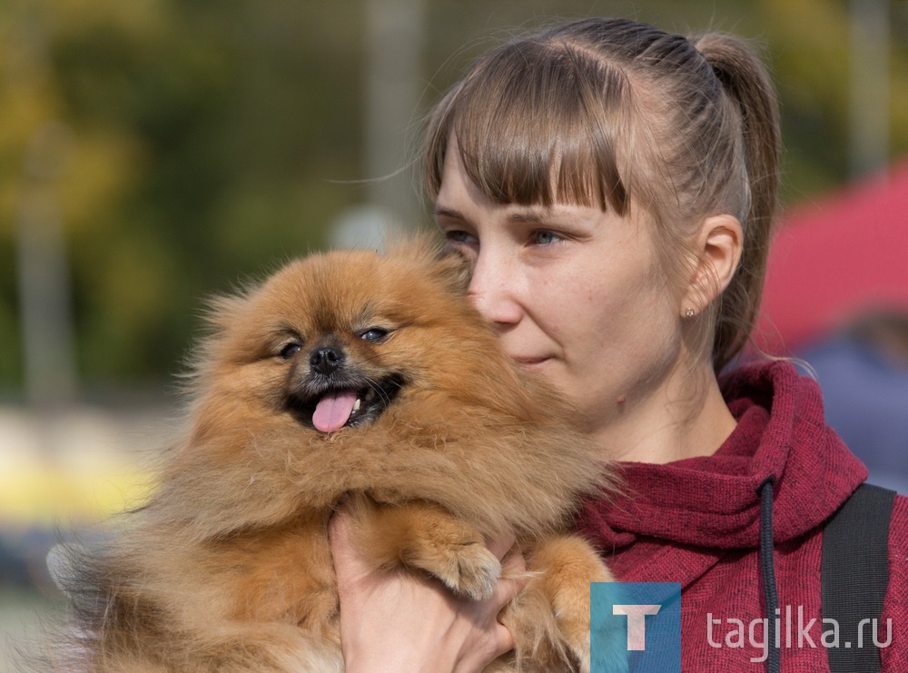 В парке «Народный» проходит IV народный фестиваль «Тагильский калейдоскоп»