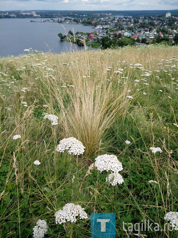 По городу с "мобилой". Летний фоторепортаж.