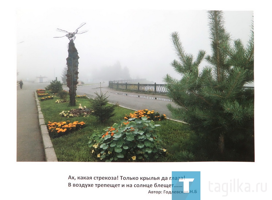 "И снова о тебе..."

Впервые параллельно с выставкой проходит фотоконкурс и авторы лучших, по мнению жюри, произведений получат денежные сертификаты.

Людмила Погодина
Фото Сергея Казанцева