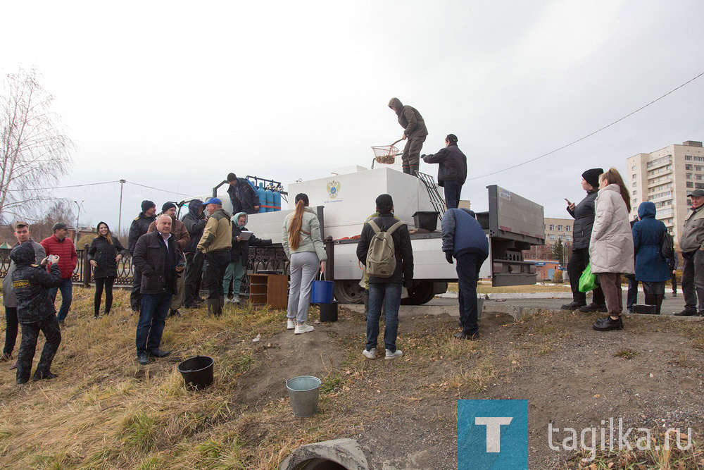 Тагильский пруд вновь пополнился рыбой