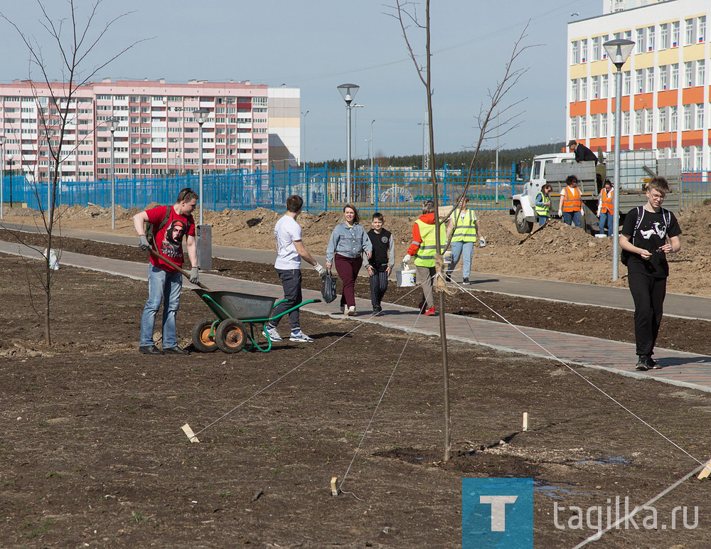 Парк на Муринских прудах в Нижнем Тагиле озеленят