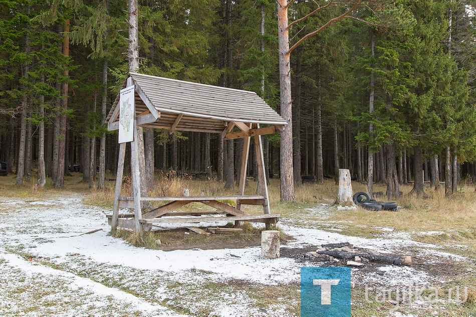 В лесу у "Спартака"
