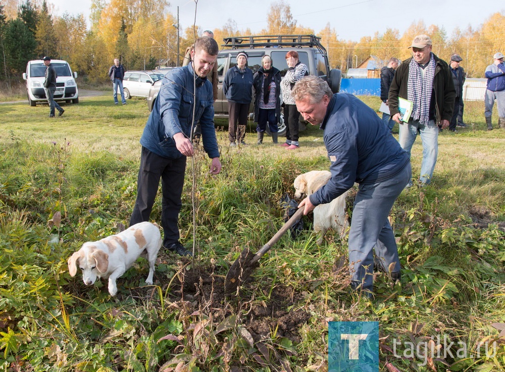 «Светлый город» пришел в Чауж