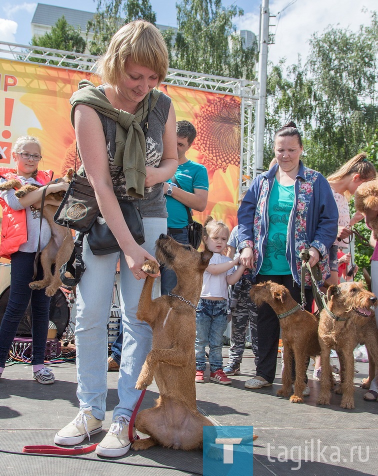 Фестиваль" Рыжий Тагил".