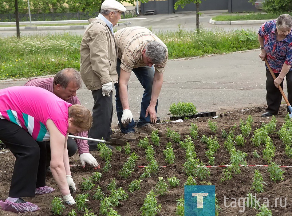 Посадка цветов в Комсомольском сквере