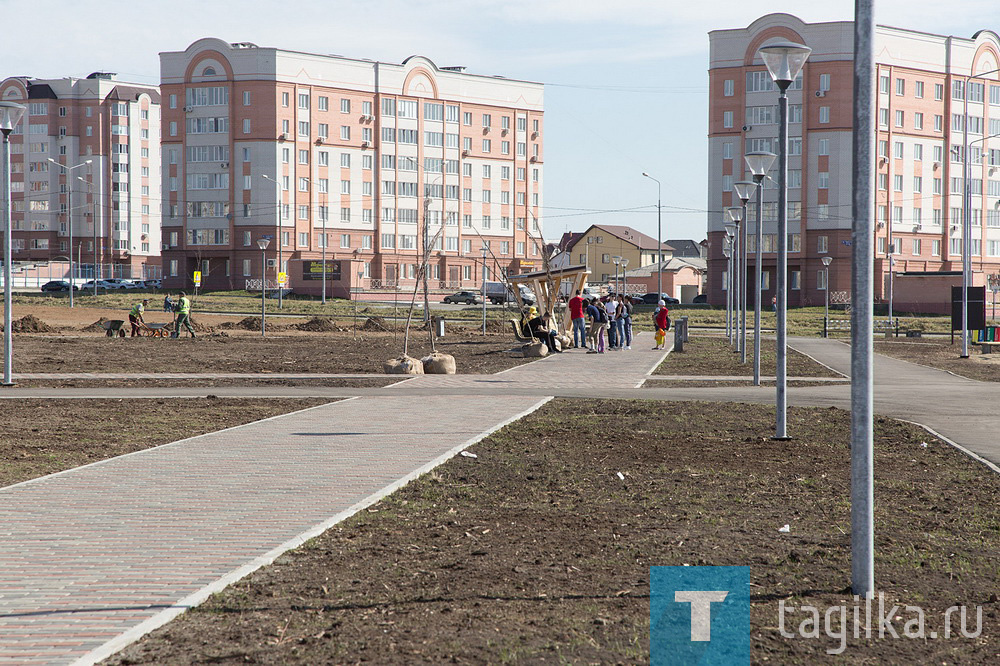 Парк на Муринских прудах в Нижнем Тагиле озеленят