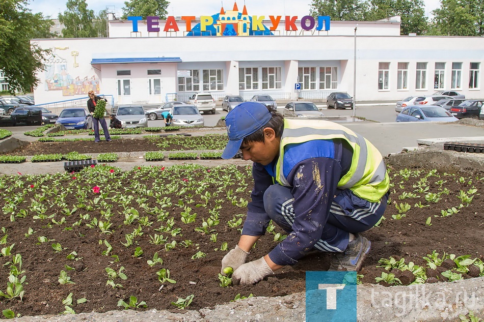 Озеленители приступили к высадке цветов  в городских зонах отдыха. До конца июня им предстоит украсить территорию площадью в 7 тыс. квадратных метров