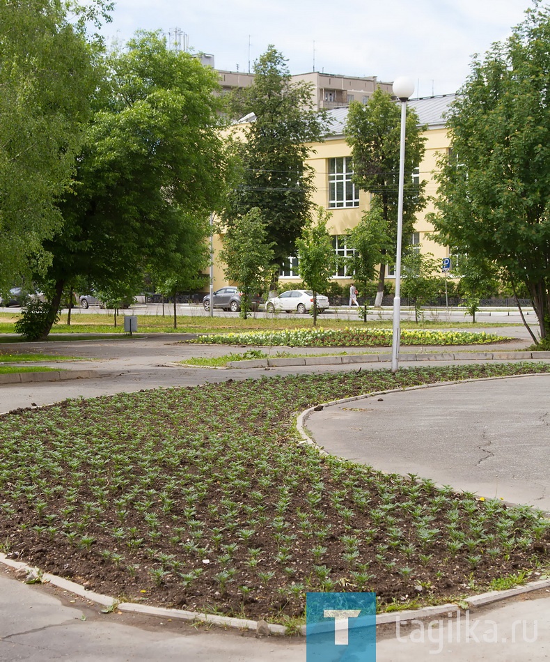 Цветы для горожан