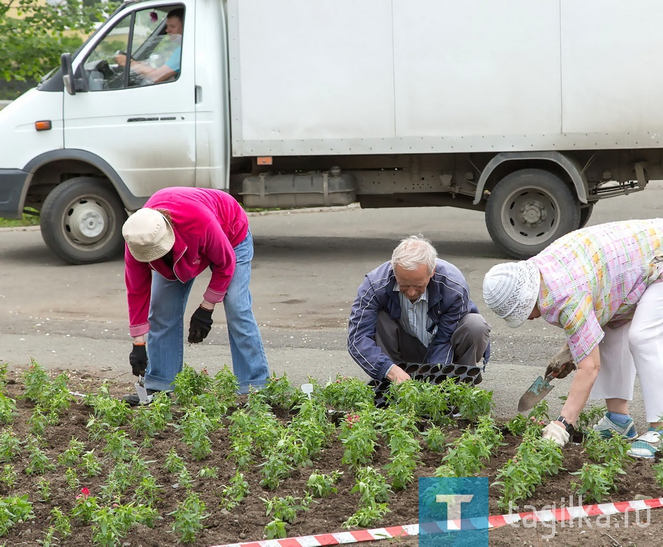 Посадка цветов в Комсомольском сквере