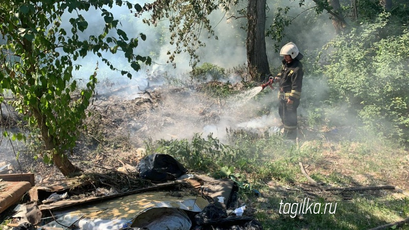 МЧС напоминает: за поджог тополиного пуха предусмотрена ответственность вплоть до уголовной