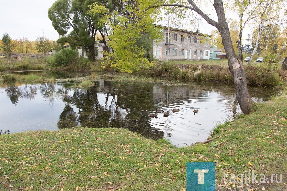 Владислав Пинаев принял решение о восстановлении тепличного хозяйства муниципалитета