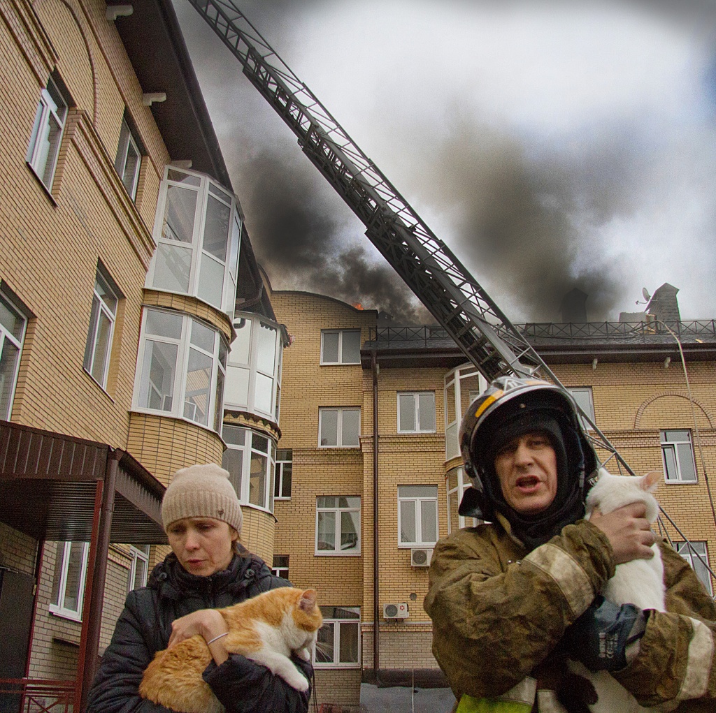 Пожарные помогали спасать питомцев