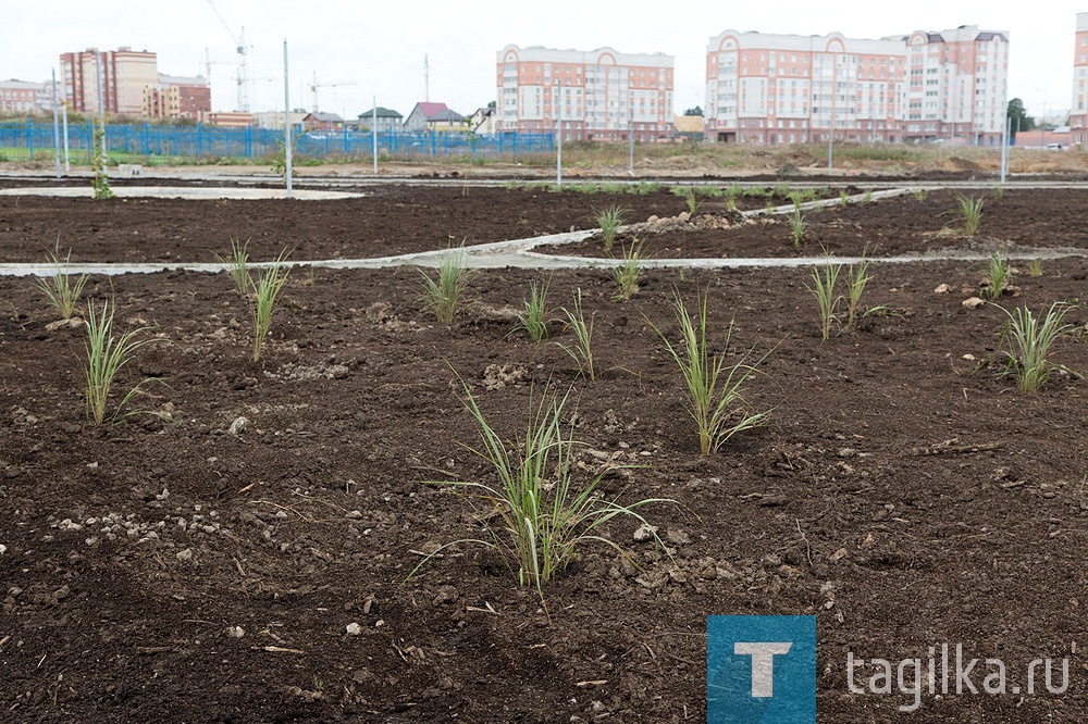 Отмечая важность открытия общественной территории в микрорайоне «Девятый поселок», глава города Владислав Пинаев проинформировал Николая Смирнова о том, что здесь расположено два детских сада и колледж, поэтому наличие общественной территории с игровыми зонами, площадкой для волейбола и баскетбола, а также уличными тренажерами и воркаутом очень актуально для его жителей. Кроме того, все это сделано в соответствии со стандартами безопасности и с учетом доступной среды для маломобильных групп населения. «Получилось даже лучше, чем планировали, - рассказал Владислав Пинаев. – Отправной точкой для развития данной территории послужила инициатива активиста Александра Коченкова, который проводит здесь фестиваль уличного спорта». Сам Александр рассказал, что не мог предположить, что старая площадка так преобразится. «Мы провели все лето на строительной площадке, и сейчас я могу с уверенностью сказать, что наша спортивная площадка самая лучшая в городе, - сказал активист. – Девиз третьего по счету фестиваля уличного спорта, который мы будем проводить 13 сентября в новых условиях, звучит - «Цени то, что есть!», поэтому мы будем ему следовать».

Пресс-служба Администрации города
Фото Сергея Казанцева