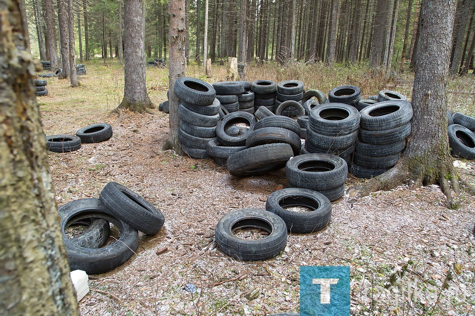 В лесу у "Спартака"