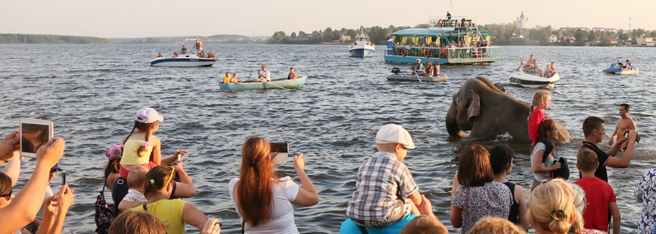 Купание слонов