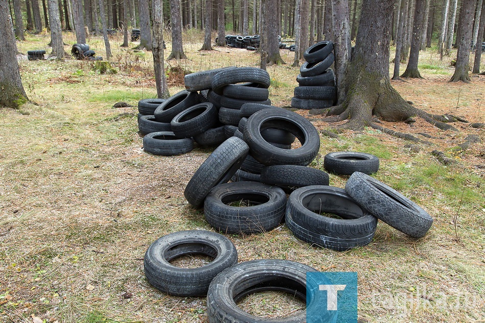 В лесу у "Спартака"