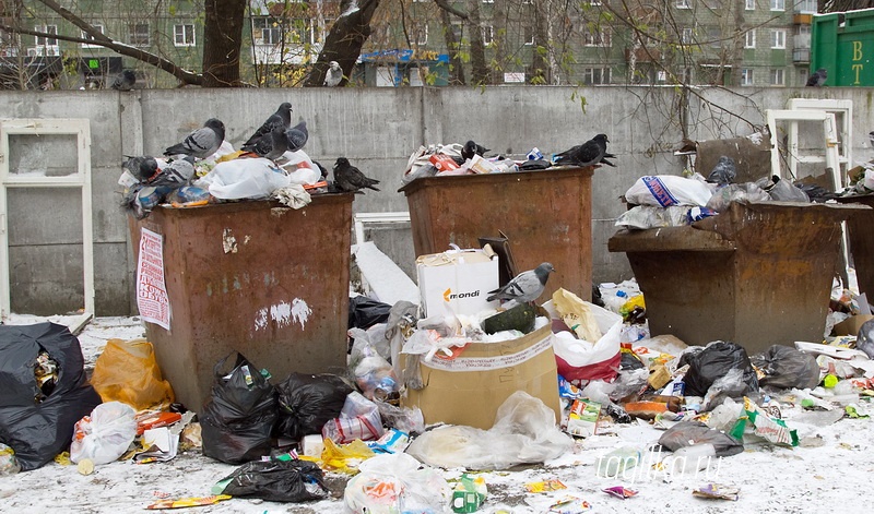 Работают горячие линии по вопросам несвоевременного вывоза мусора из дворов и контейнерных площадок