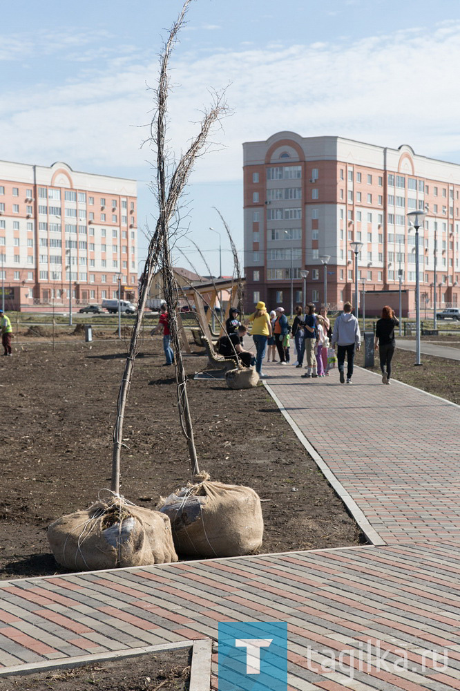 Парк на Муринских прудах в Нижнем Тагиле озеленят