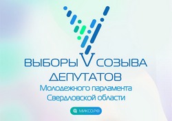 В Свердловской области выборы в Молодежный парламент пройдут в электронном формате