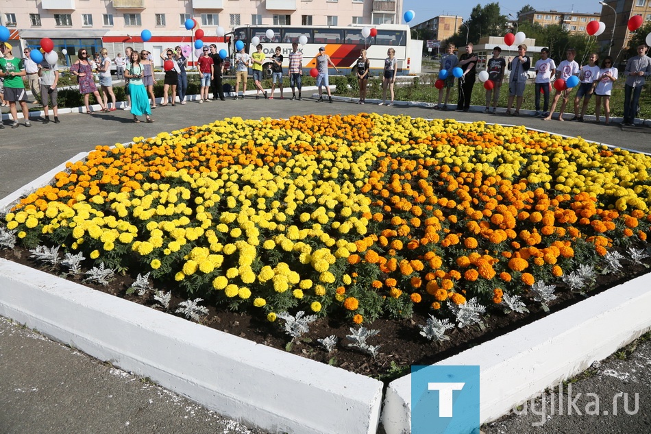 Объезд. Ленинский район.

Нижний Тагил к празднованию Дня города готов.
К этому выводу пришла комиссия во главе с мэром Сергеем Носовым по итогам объезда участников традиционного смотра-конкурса. На знакомство с новыми и отремонтированными объектами, дворами и учреждениями потратили более шести часов. Члены комиссии были единодушны: город похорошел!
Объезд начался с центрального района. Ленинский в этом году отмечает свое 80-летие. По словам главы администрации Геннадия Мальцева, к Дню города было создано более 120 зон отдыха, 27 детских игровых и спортивных площадок. Предприятия за свой счет восстановили несколько дорог и тротуаров. Немало сделано для озеленения. +

Преобразился сквер у знака «Ленинский район». Оборудовали парковку, оформили клумбы, газоны и дорожки, поставили скамейки и урны, высадили кусты и деревья. Знак оснастили художественной подсветкой.
