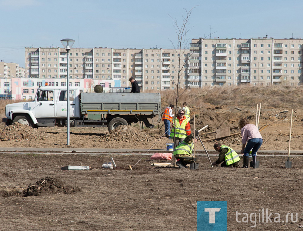 Парк на Муринских прудах в Нижнем Тагиле озеленят