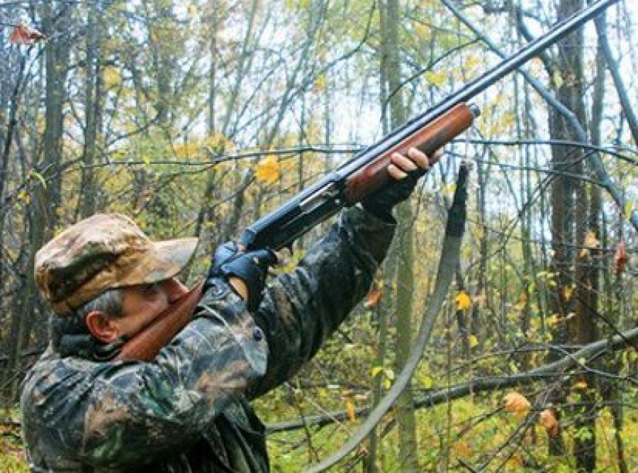 На Среднем Урале появился паспорт состояния охотугодий