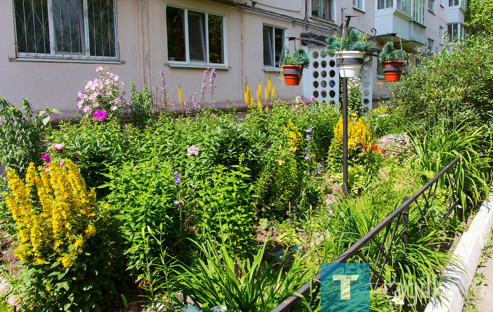 Тагильчанка почти два десятка лет ухаживает за цветником около дома на Горошникова, 78. Под ее чутким наблюдением - пять участков от первого до четвертого подъезда.