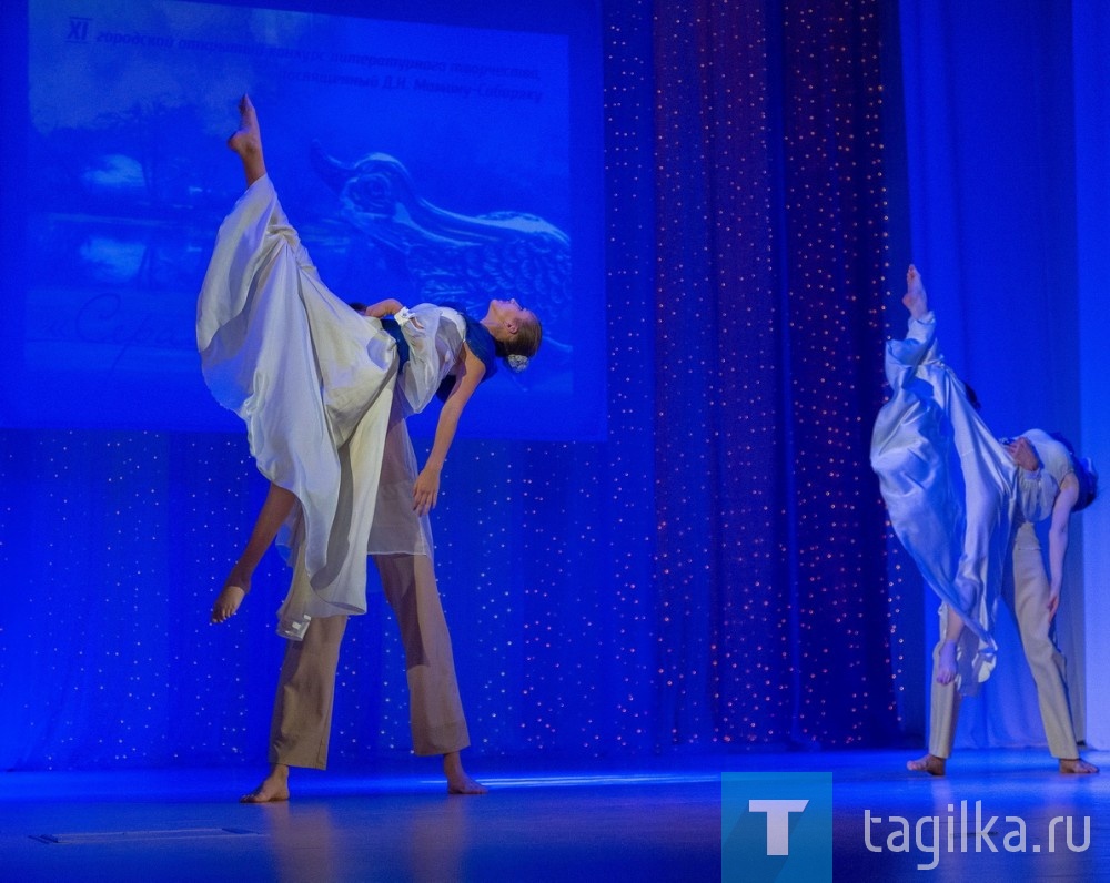 Серая шейка-2016.