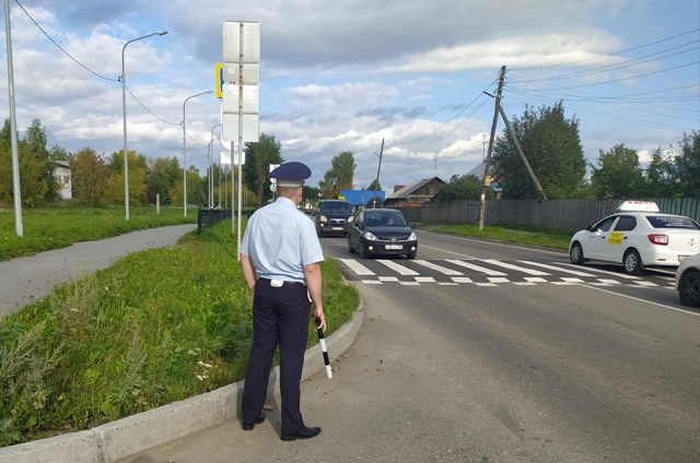 В Свердловской области треть ДТП происходит с участием пешеходов