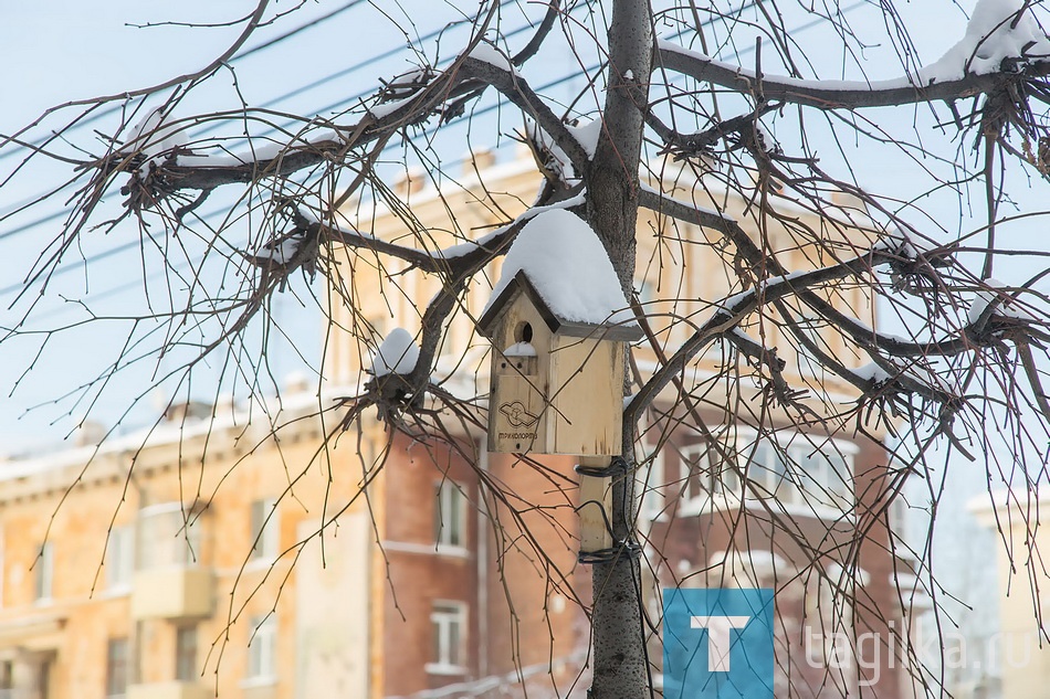 Первый день Зимы