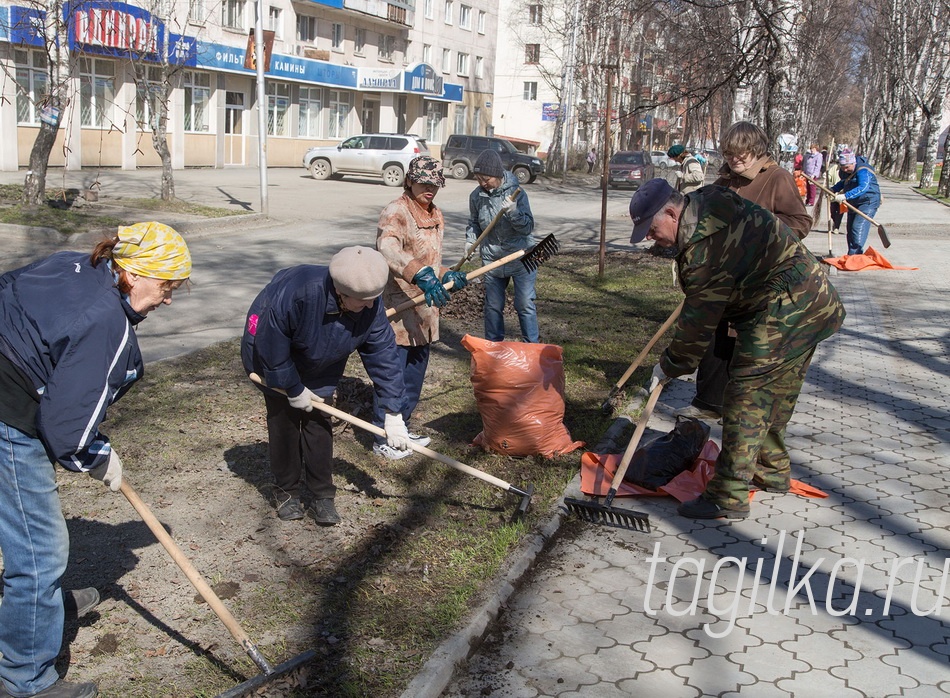 Ветераны вышли на субботник!