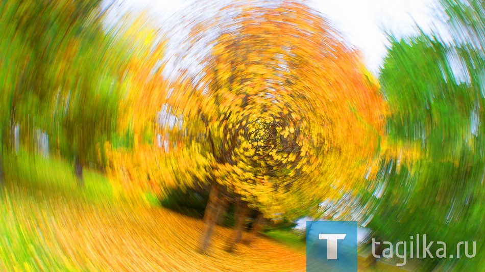 Утопая в золоте осени...
