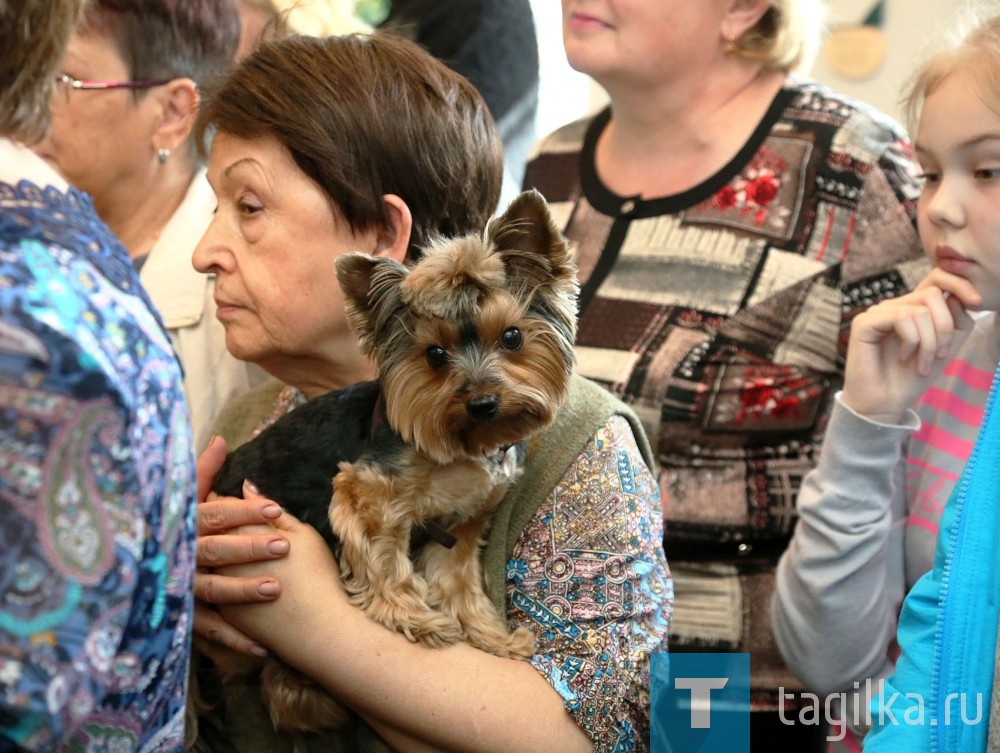 Выставка семьи Толкачевых