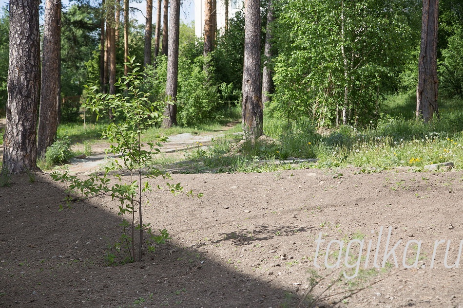 Строители тоже продолжа-
ют благоустройство террито-
рии, восстанавливают повреж-
денные участки: разравнивают,
подсыпают плодородную почву,
сеют траву. Жители просят по-
скорее привести в надлежащий
вид дорожку через лес, по ко-
торой ходят к остановке обще-
ственного транспорта. Теперь
там не трава, как прежде, а гли-
на. Как только пройдет дождь,
становится очень грязно.