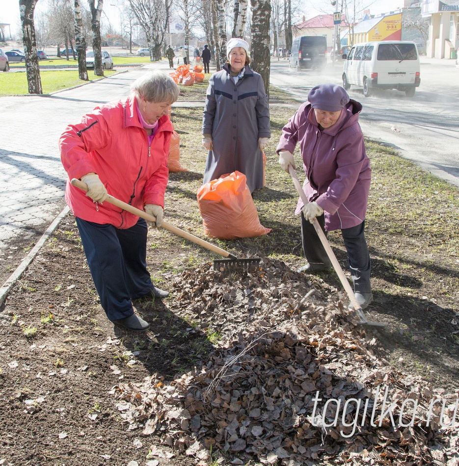 Ветераны вышли на субботник!