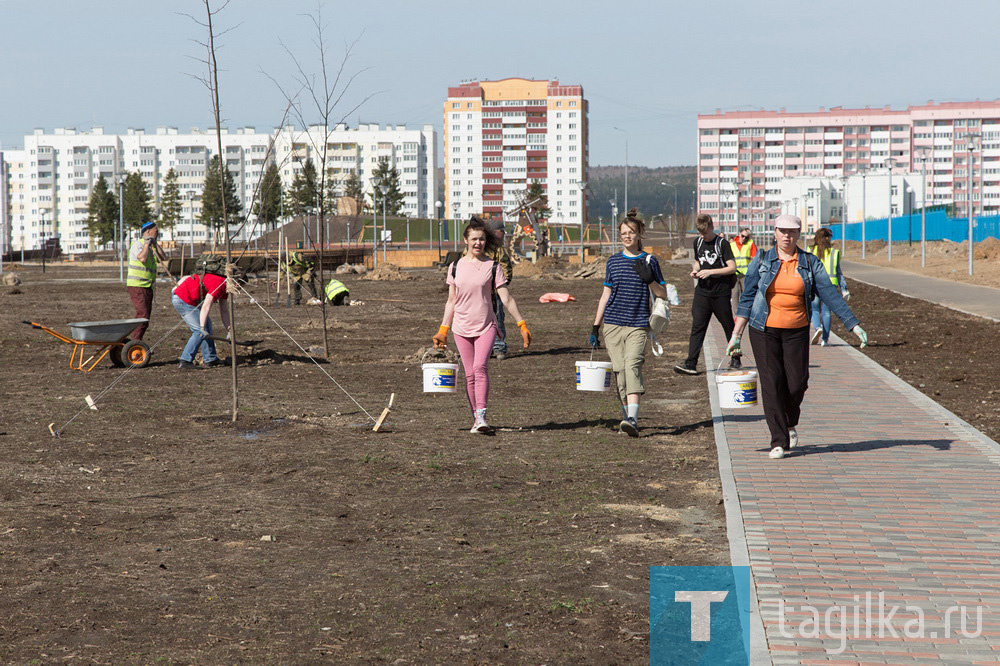 Парк на Муринских прудах в Нижнем Тагиле озеленят