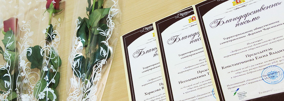 Встреча председателей ТОС.