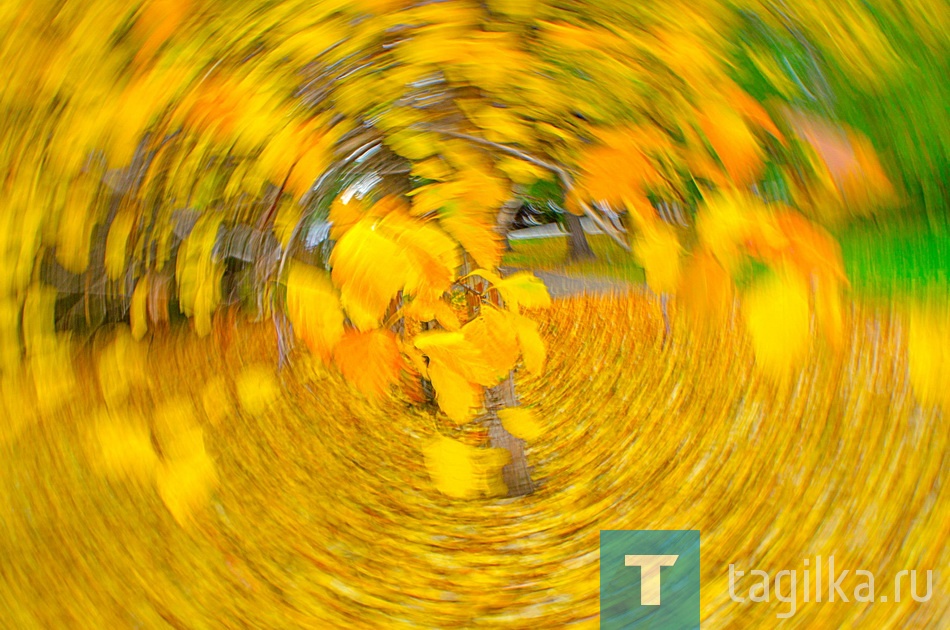 Утопая в золоте осени...