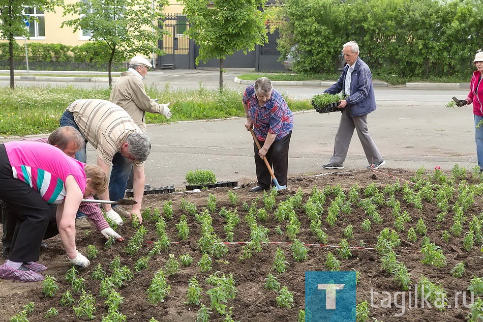 Посадка цветов в Комсомольском сквере