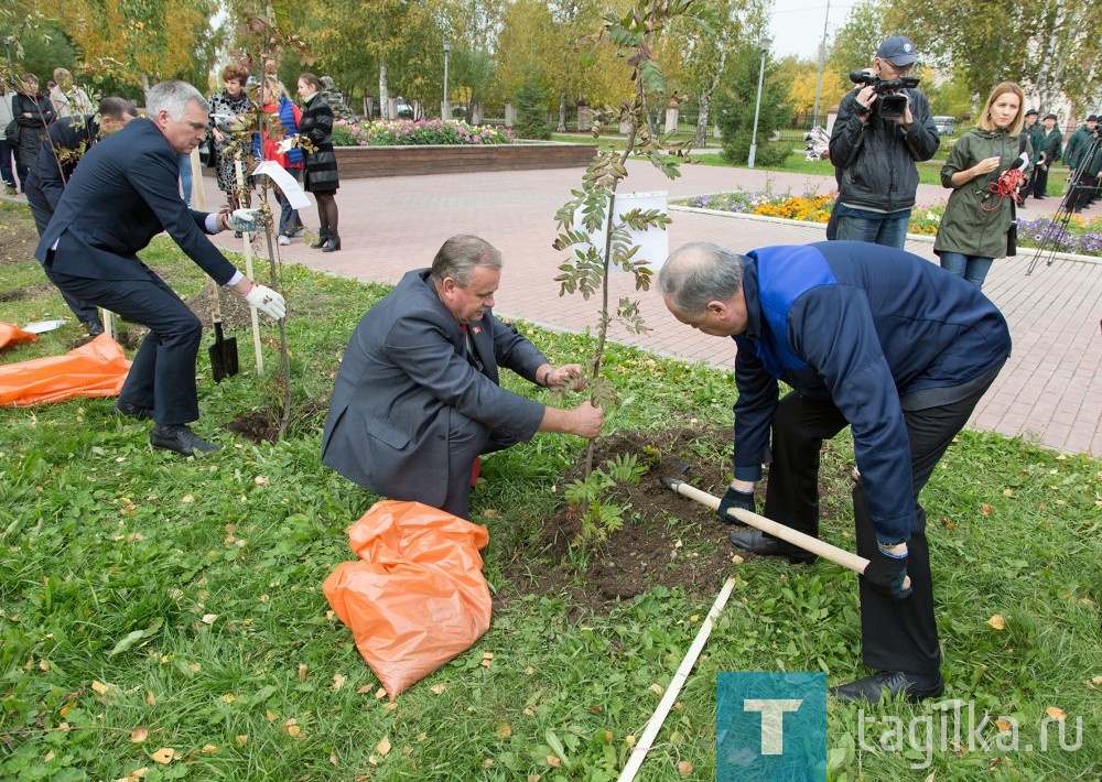 В Нижнем Тагиле высадили аллею победителей