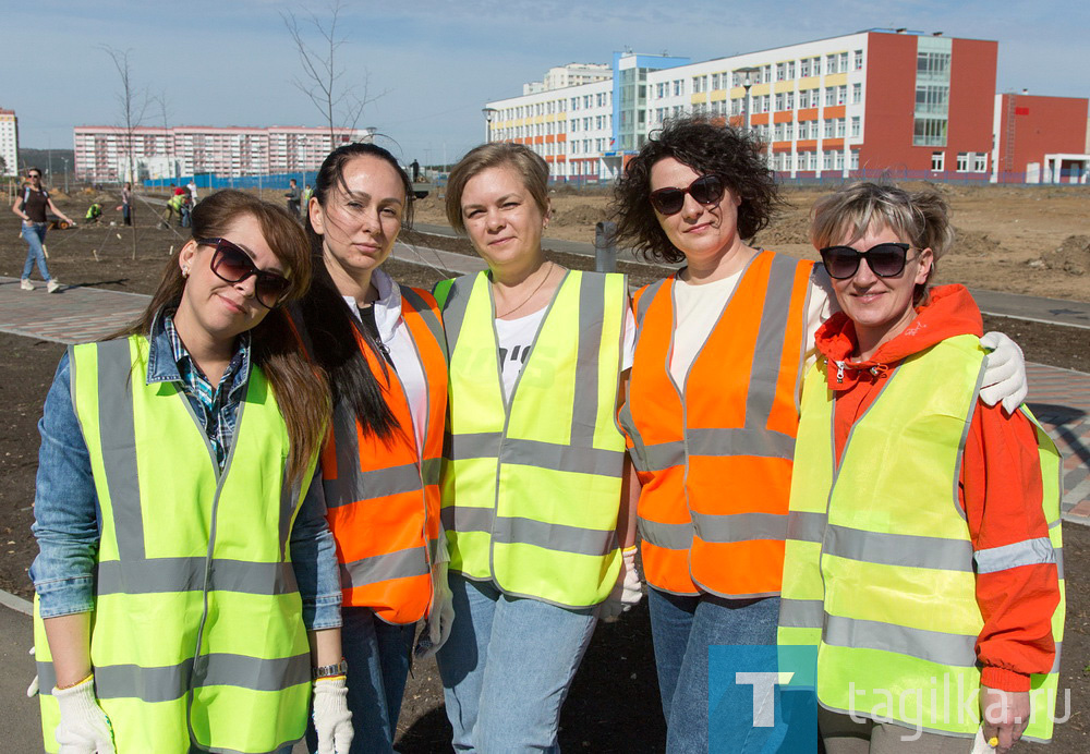 Парк на Муринских прудах в Нижнем Тагиле озеленят