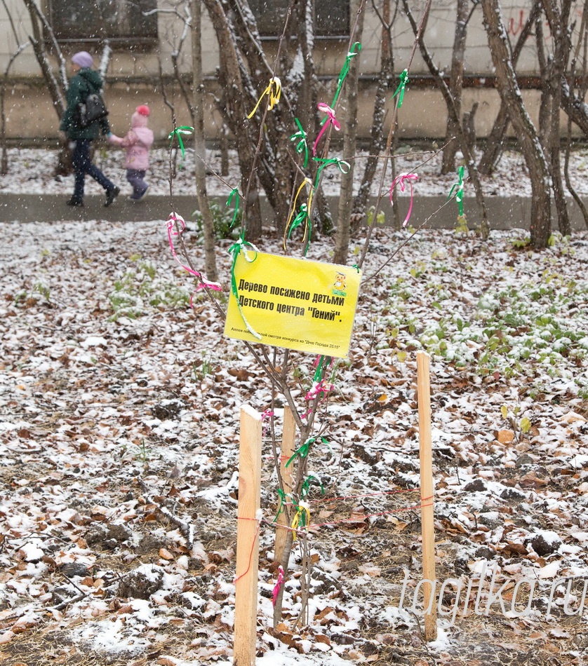 Объезд территории Дзержинского района