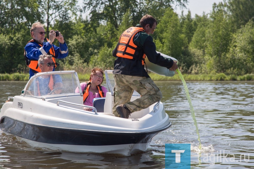 Хлореллу - в тагильский пруд.