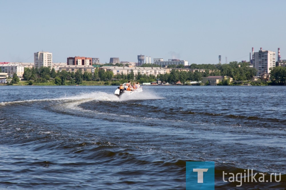 Хлореллу - в тагильский пруд.