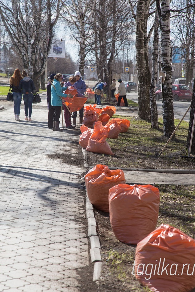 Ветераны вышли на субботник!