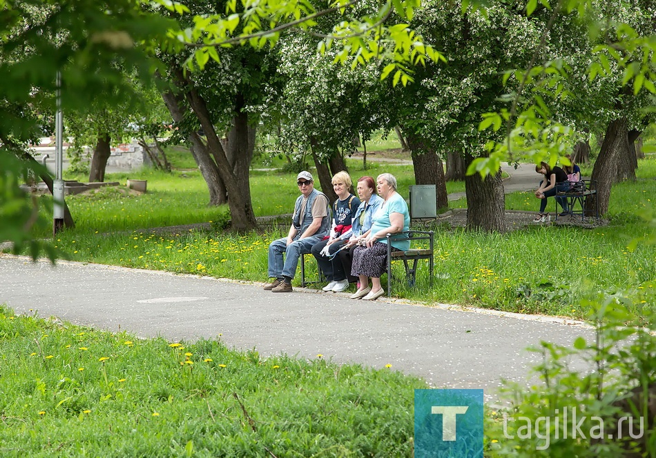 Посадка цветов в Комсомольском сквере