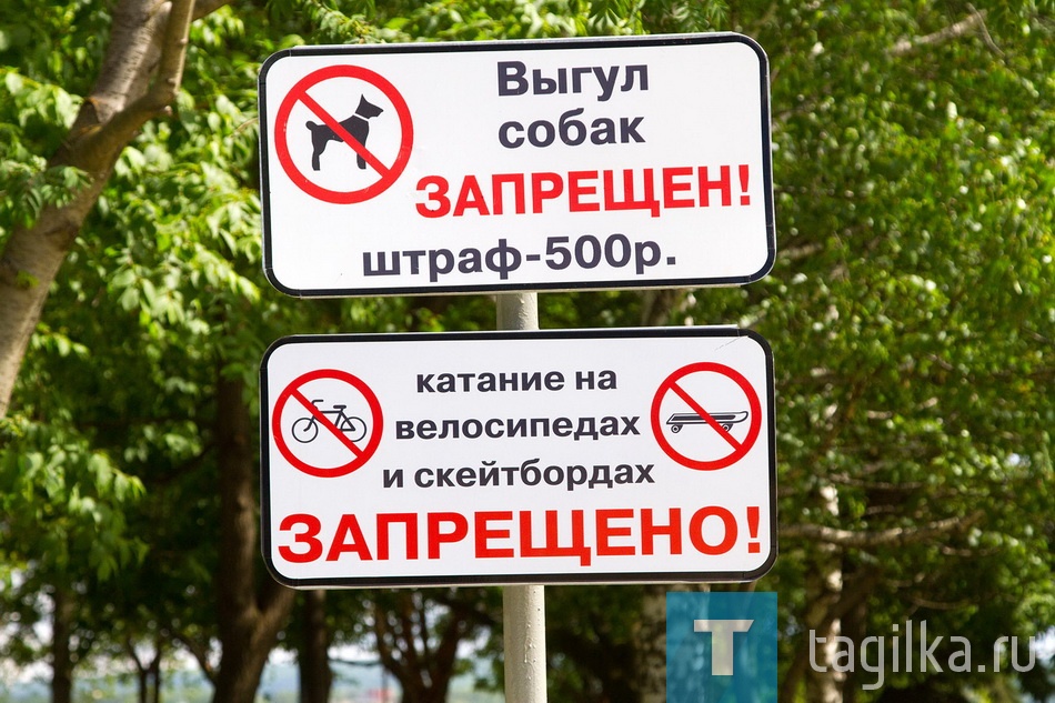 Сломанные тренажер и качели, облитые краской статуи
и «улетевший» с фигуры дворника голубь, поврежденные
фонарь и часы на верстовом столбе. За год тагильчане
изрядно «похозяйничали» в «Тагильской лагуне»