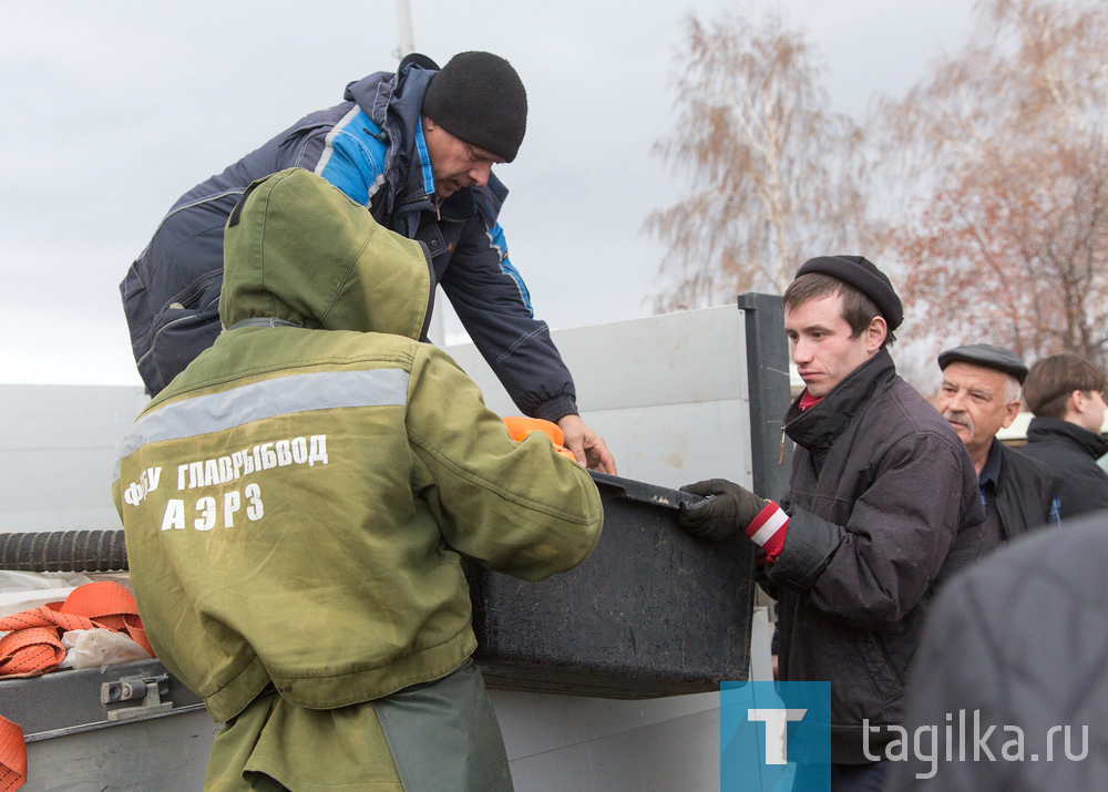 Тагильский пруд вновь пополнился рыбой