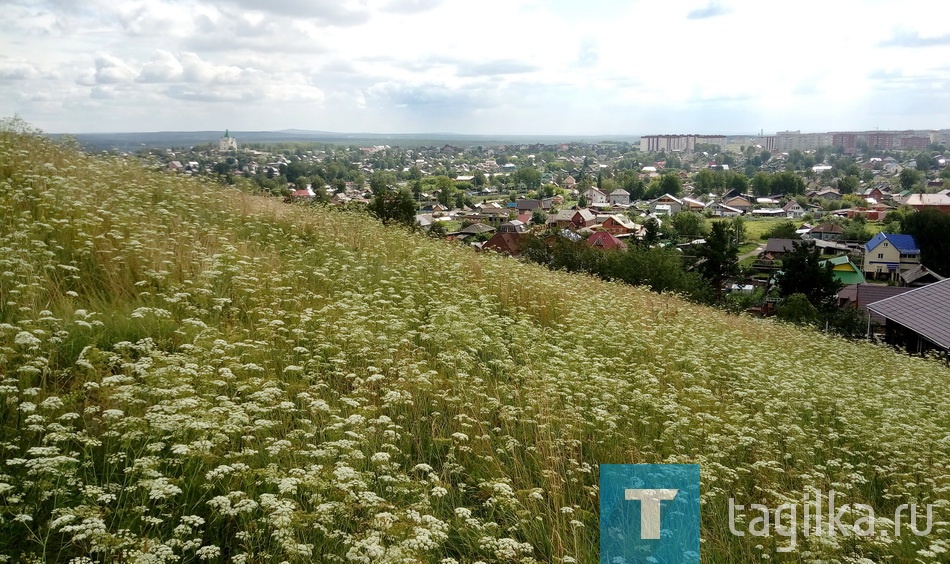 По городу с "мобилой". Летний фоторепортаж.